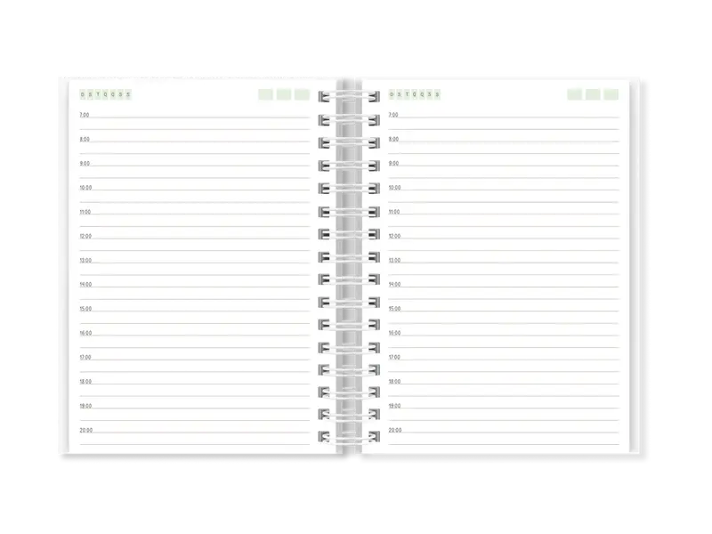 Agenda Sara 1DPP (NÃO DATADA)