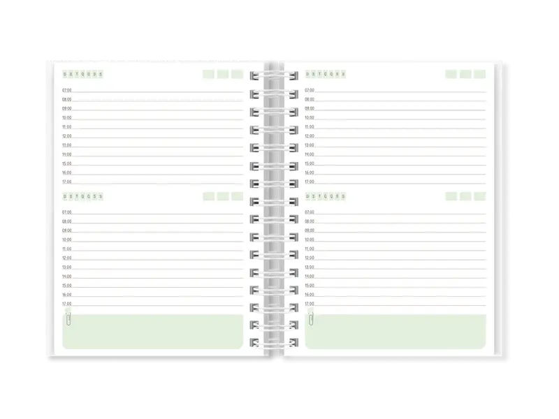 Agenda Sara 2DPP (NÃO DATADA)